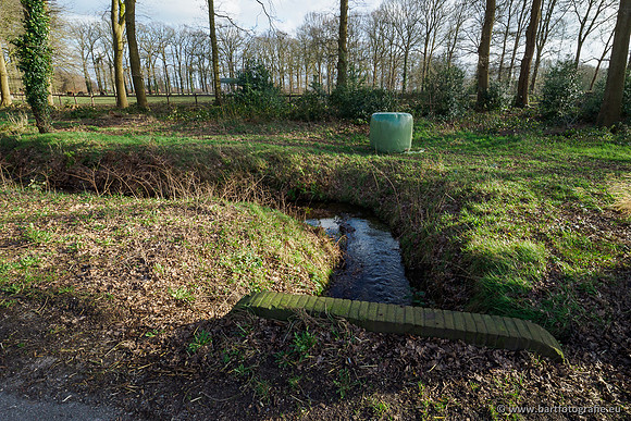 Heerder beek en Vosbeek 190220-170
