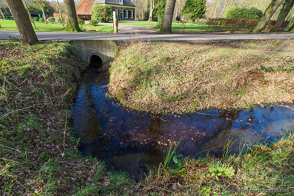 Heerder beek en Vosbeek 190220-172