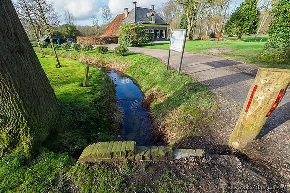 Heerder beek en Vosbeek 190220-173