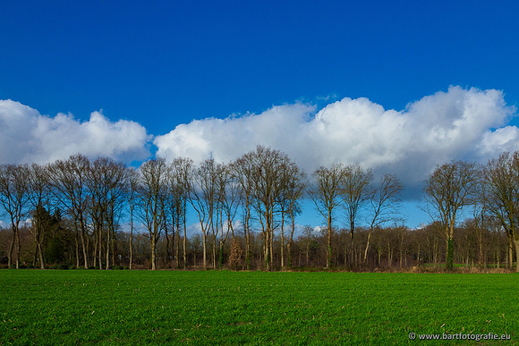 Heerder beek en Vosbeek 190220-175