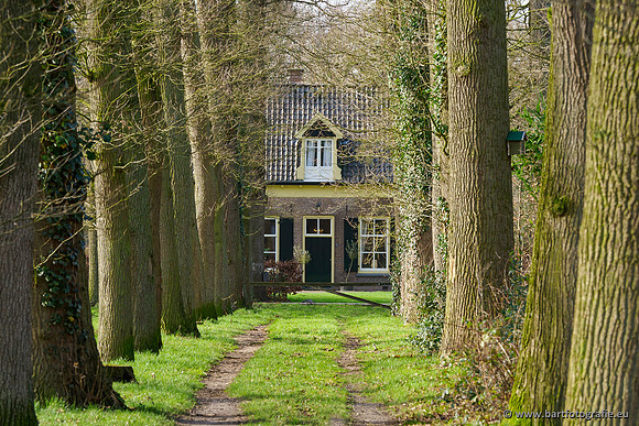 Heerder beek en Vosbeek 190220-178