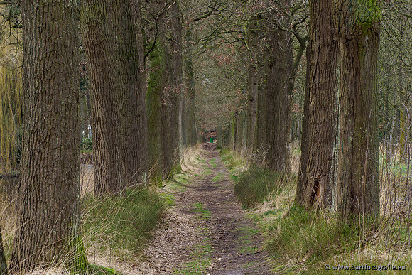 Heerder beek en Vosbeek 190220-179