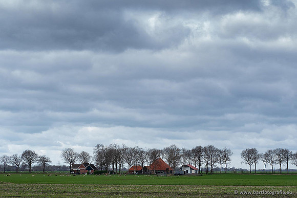 Akker en Weide Bart Fotografie-102