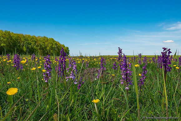 Akker en Weide Bart Fotografie-103