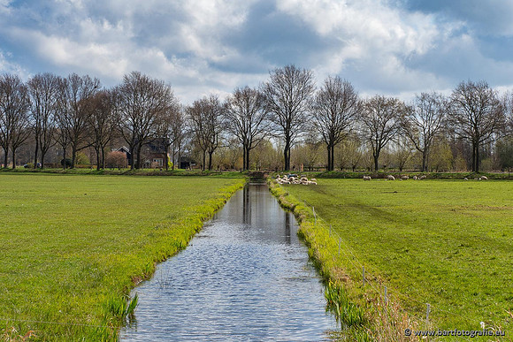 Akker en Weide Bart Fotografie-100