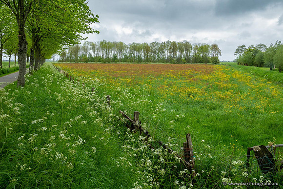 Akker en Weide Bart Fotografie-111