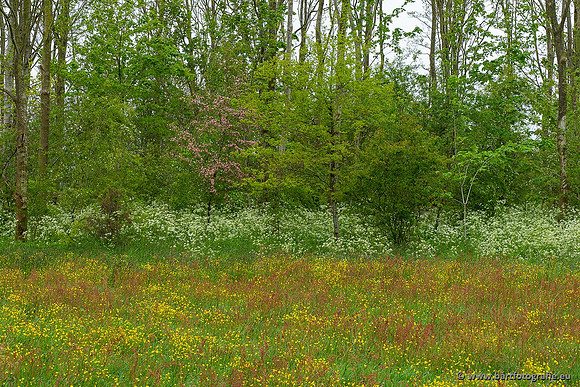 Akker en Weide Bart Fotografie-110