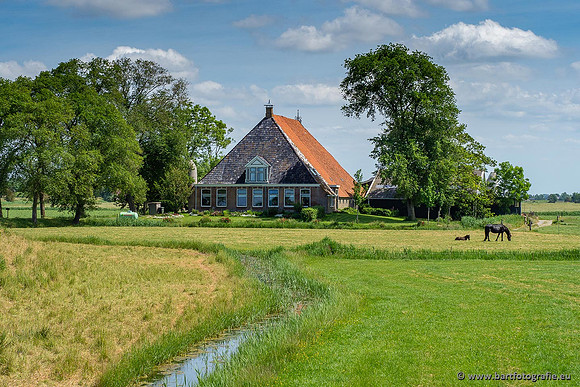 Akker en Weide Bart Fotografie-118