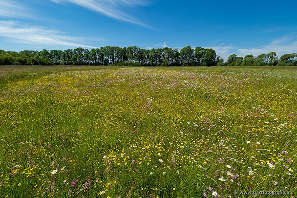 Akker en Weide Bart Fotografie-115