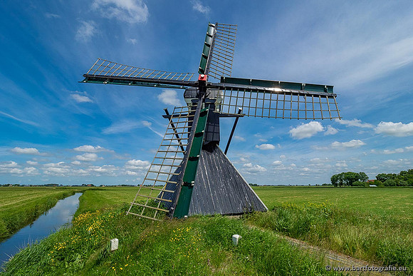 Akker en Weide Bart Fotografie-121