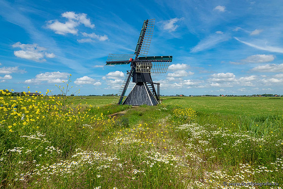 Akker en Weide Bart Fotografie-122
