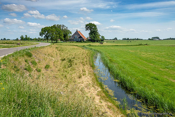 Akker en Weide Bart Fotografie-124