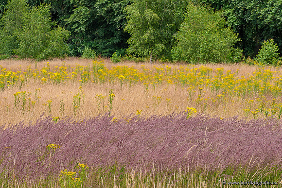 Akker en Weide Bart Fotografie-127
