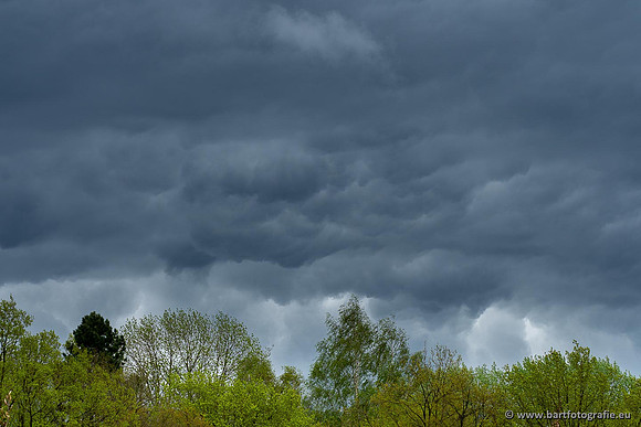 Luchten, Bart Fotografie-074
