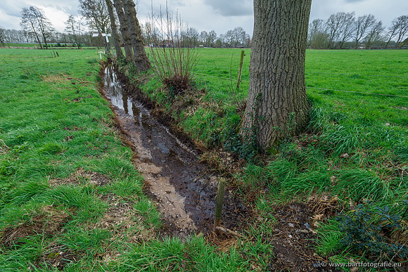 Wendhorstbeek 250220-002
