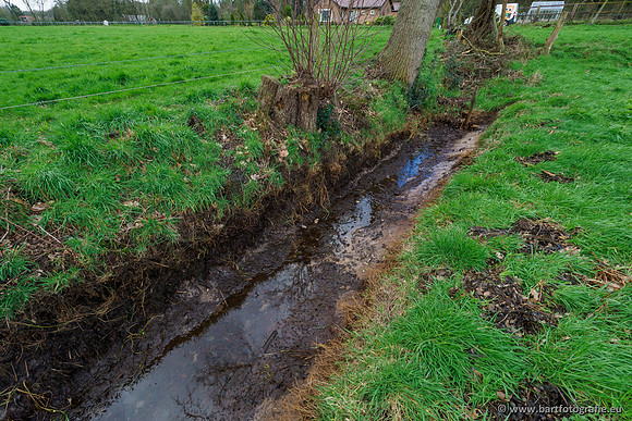 Wendhorstbeek 250220-003