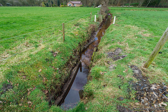 Wendhorstbeek 250220-004