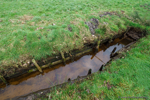 Wendhorstbeek 250220-005
