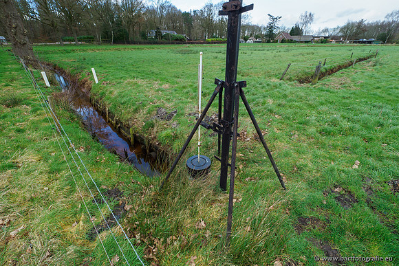 Wendhorstbeek 250220-006