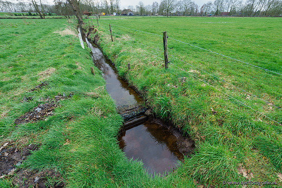 Wendhorstbeek 250220-010