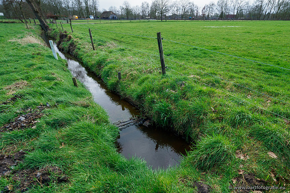 Wendhorstbeek 250220-011