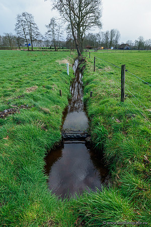 Wendhorstbeek 250220-012