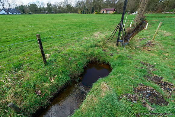 Wendhorstbeek 250220-013