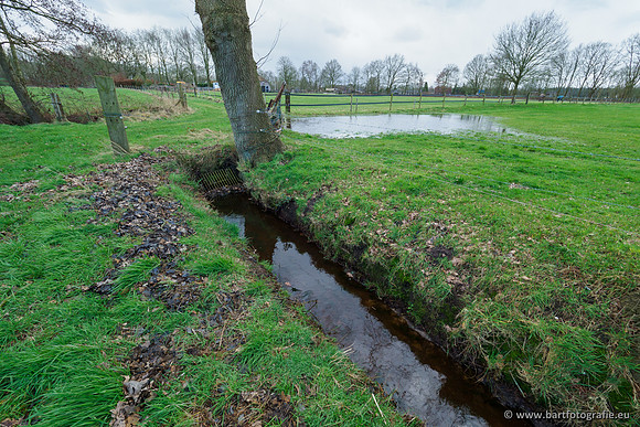 Wendhorstbeek 250220-019