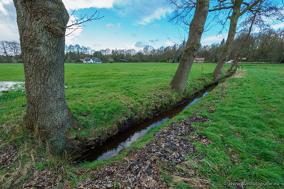 Wendhorstbeek 250220-020