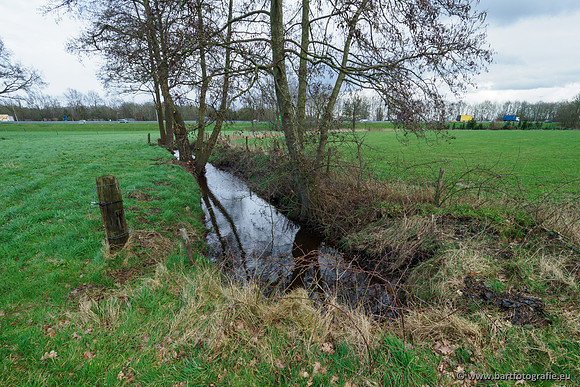 Wendhorstbeek 250220-021