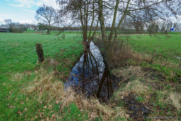 Wendhorstbeek 250220-022