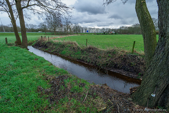 Wendhorstbeek 250220-023