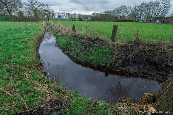 Wendhorstbeek 250220-024