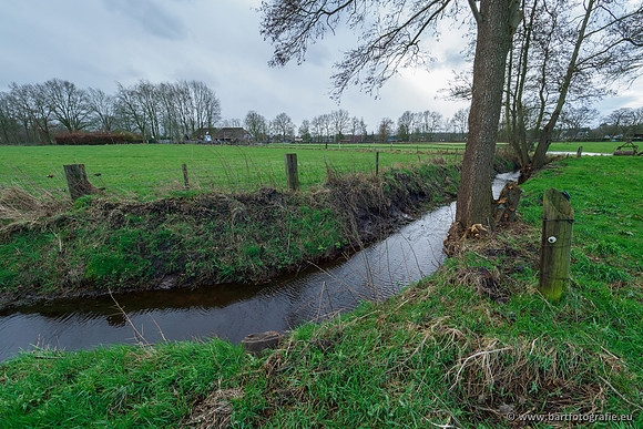 Wendhorstbeek 250220-025