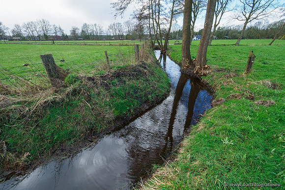 Wendhorstbeek 250220-026