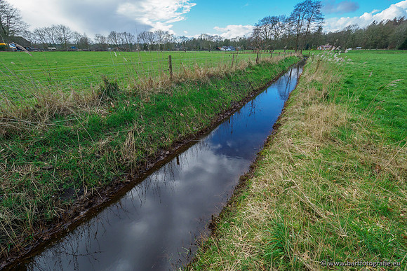 Wendhorstbeek 250220-027