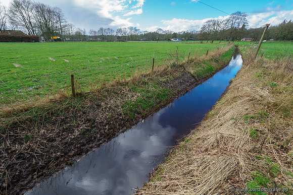 Wendhorstbeek 250220-028