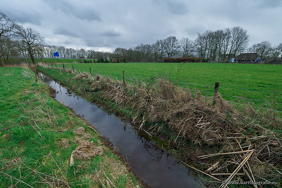 Wendhorstbeek 250220-029