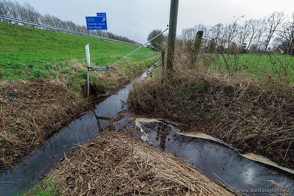 Wendhorstbeek 250220-031