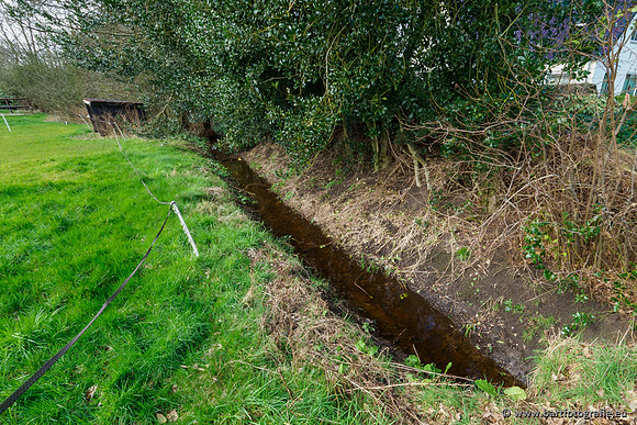 Wendhorstbeek 250220-032