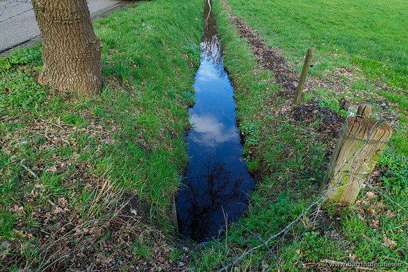 Wendhorstbeek 250220-033
