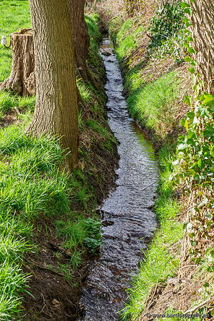 Wendhorstbeek 250220-035