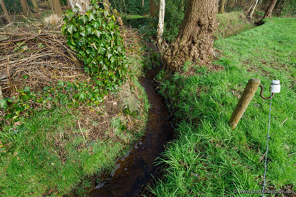 Wendhorstbeek 250220-036