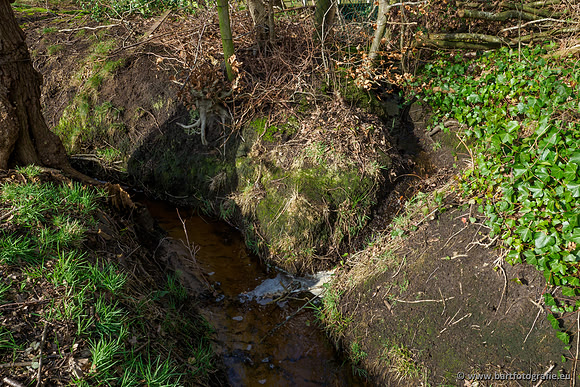 Wendhorstbeek 250220-038