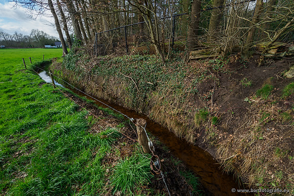 Wendhorstbeek 250220-040