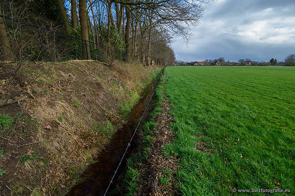 Wendhorstbeek 250220-041