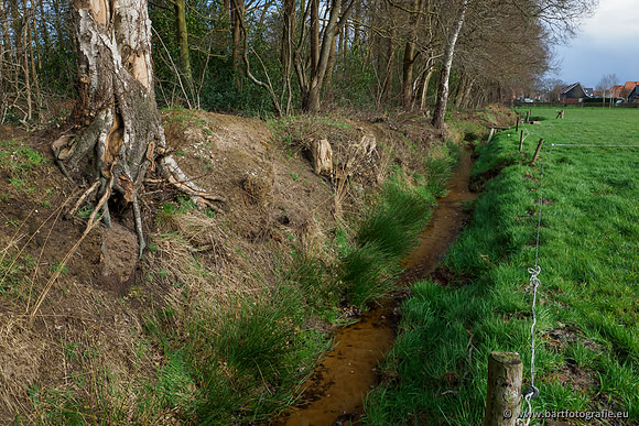 Wendhorstbeek 250220-042