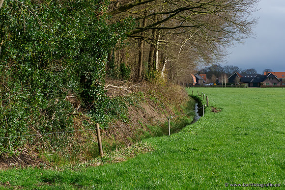 Wendhorstbeek 250220-043