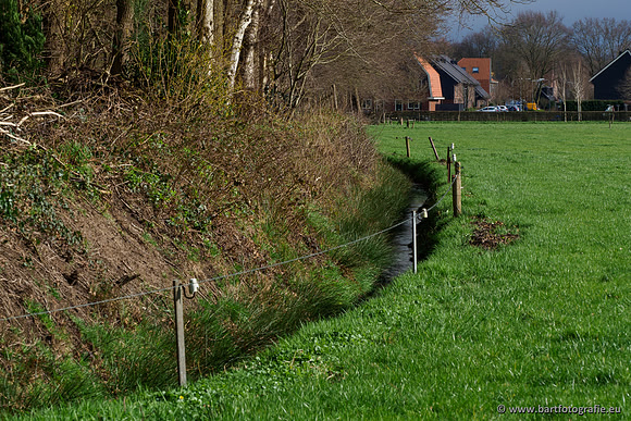 Wendhorstbeek 250220-044