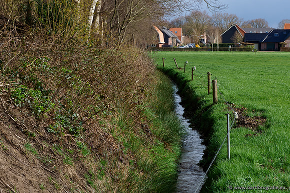 Wendhorstbeek 250220-045